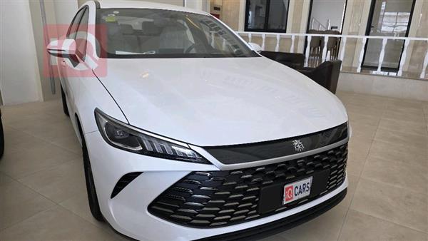 بي واي دي Qin Plus 2025 للبيع في العراق -  بغداد